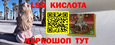 a pvp Краснодар