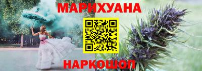 крисы Краснознаменск