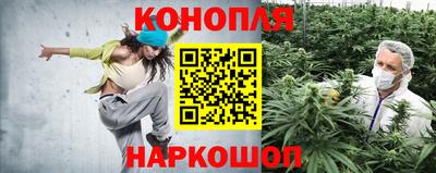 крисы Краснознаменск
