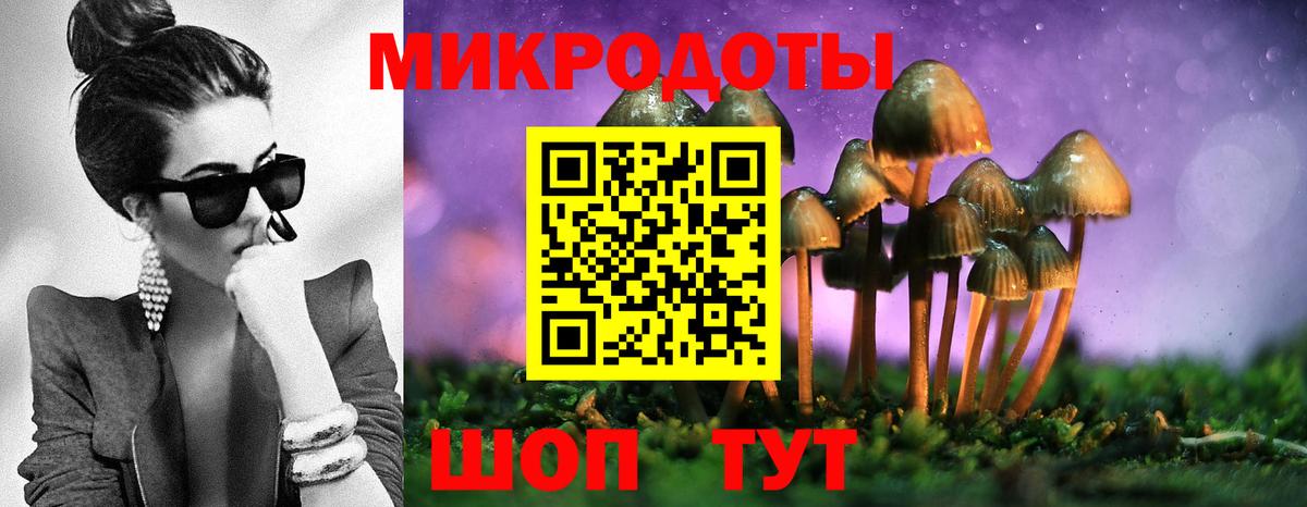 Галлюциногенные грибы прущие грибы Ишимбай