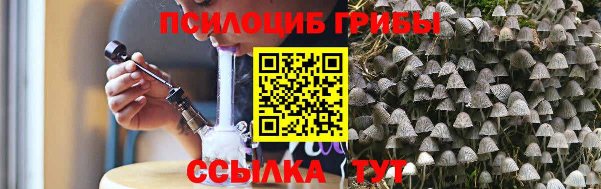 Галлюциногенные грибы Psilocybe  Галлюциногенные грибы Cubensis  Ишимбай  Вход с VPN 